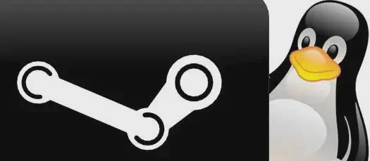 Steam-Linux.webp