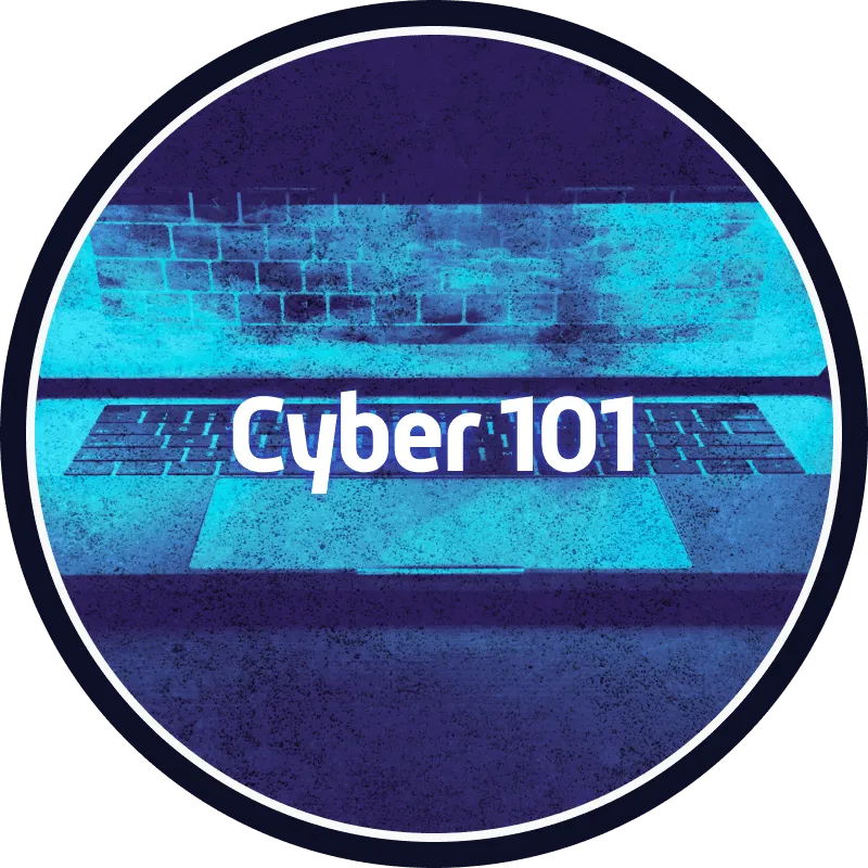 Cyber 101