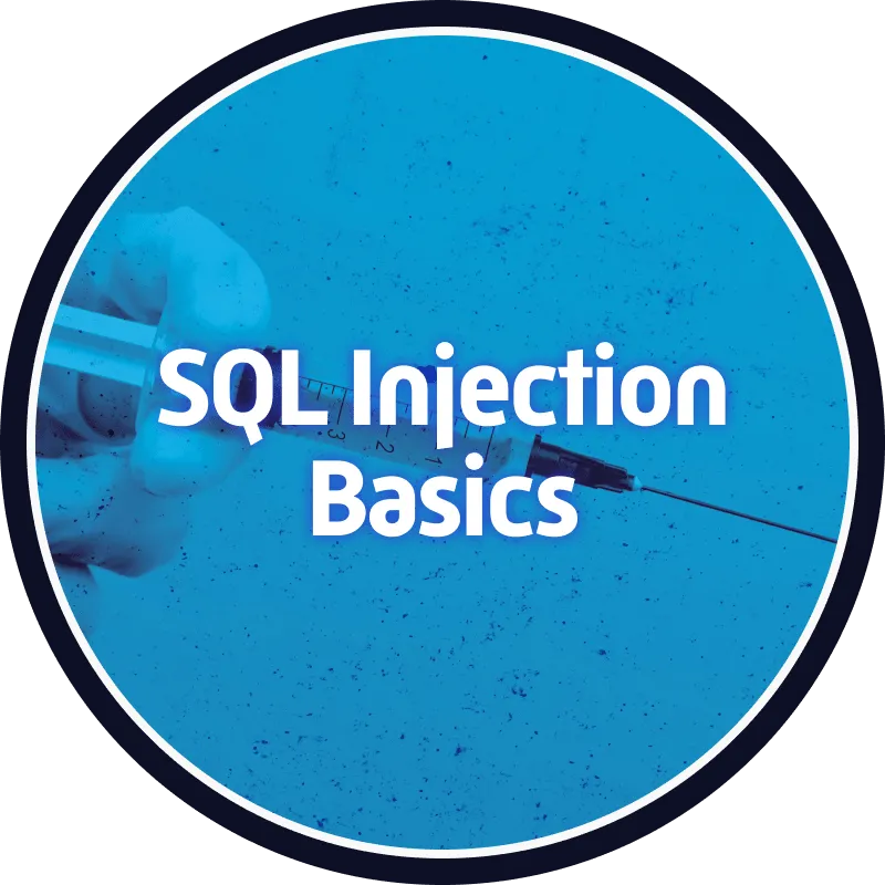 SQL Injection Basics